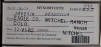 Image Associated With the Occurence